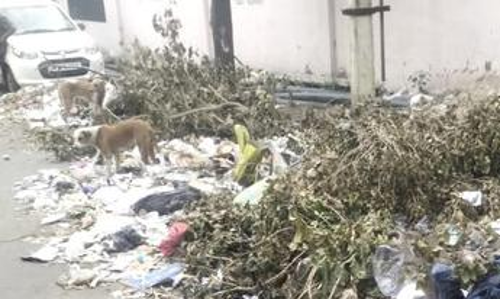 குவியும் குப்பைகளால் பாதிப்பு குவியும் குப்பைகளால் பாதிப்பு