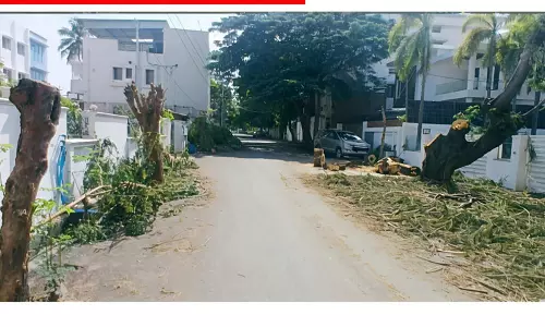 மரத்தை வெட்டிய மர்ம நபர்கள் மரத்தை வெட்டிய மர்ம நபர்கள்