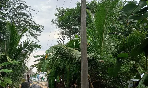 மின்விளக்கு வசதி தேவை மின்விளக்கு வசதி தேவை
