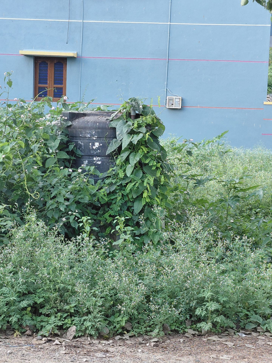 குடிநீர் தொட்டி பயன்பாட்டுக்கு வருமா?