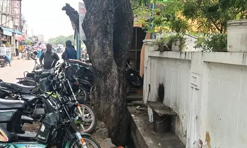 தேங்கி நிற்கும் கழிவுநீர் தேங்கி நிற்கும் கழிவுநீர்