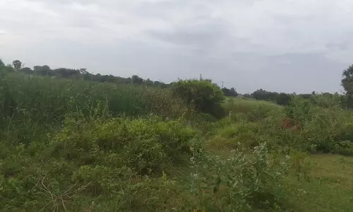 குளம் தூர்வாரப்படுமா? குளம் தூர்வாரப்படுமா?