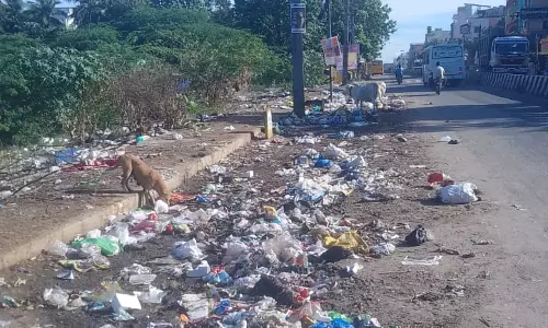 குப்பைகளால் சுகாதார சீர்கேடு குப்பைகளால் சுகாதார சீர்கேடு