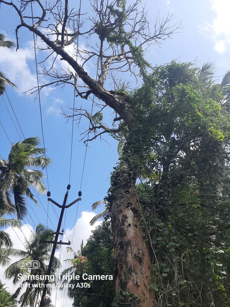 விபத்து அபாயம் விபத்து அபாயம்