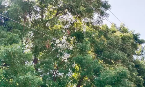 தாழ்வாக செல்லும் மின்கம்பிகள் தாழ்வாக செல்லும் மின்கம்பிகள்