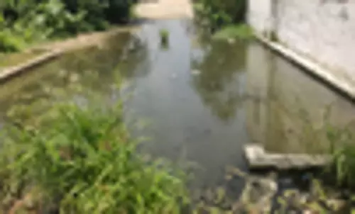 தேங்கி நிற்கும் கழிவுநீர் தேங்கி நிற்கும் கழிவுநீர்