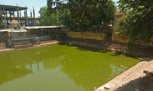 துர்நாற்றம் வீசும் குளம் துர்நாற்றம் வீசும் குளம்