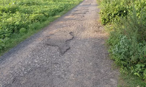 சாலை சீரமைக்கப்படுமா?