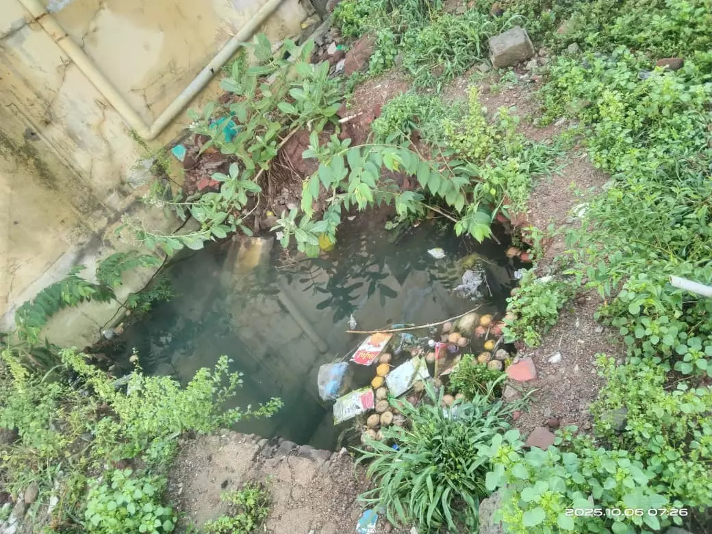 பள்ளத்தை மூடுவார்களா? பள்ளத்தை மூடுவார்களா?