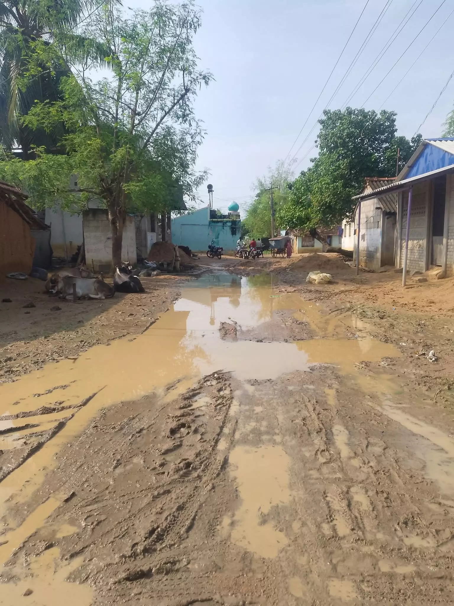 சாலை வசதி வேண்டும் சாலை வசதி வேண்டும்