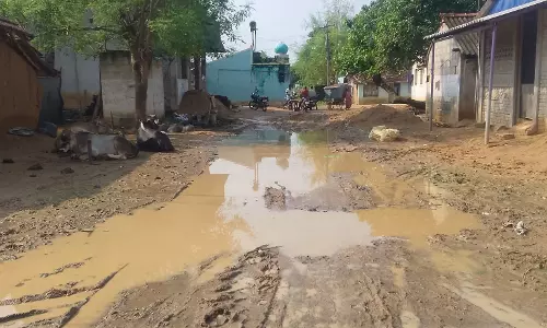 சாலை வசதி வேண்டும் சாலை வசதி வேண்டும்