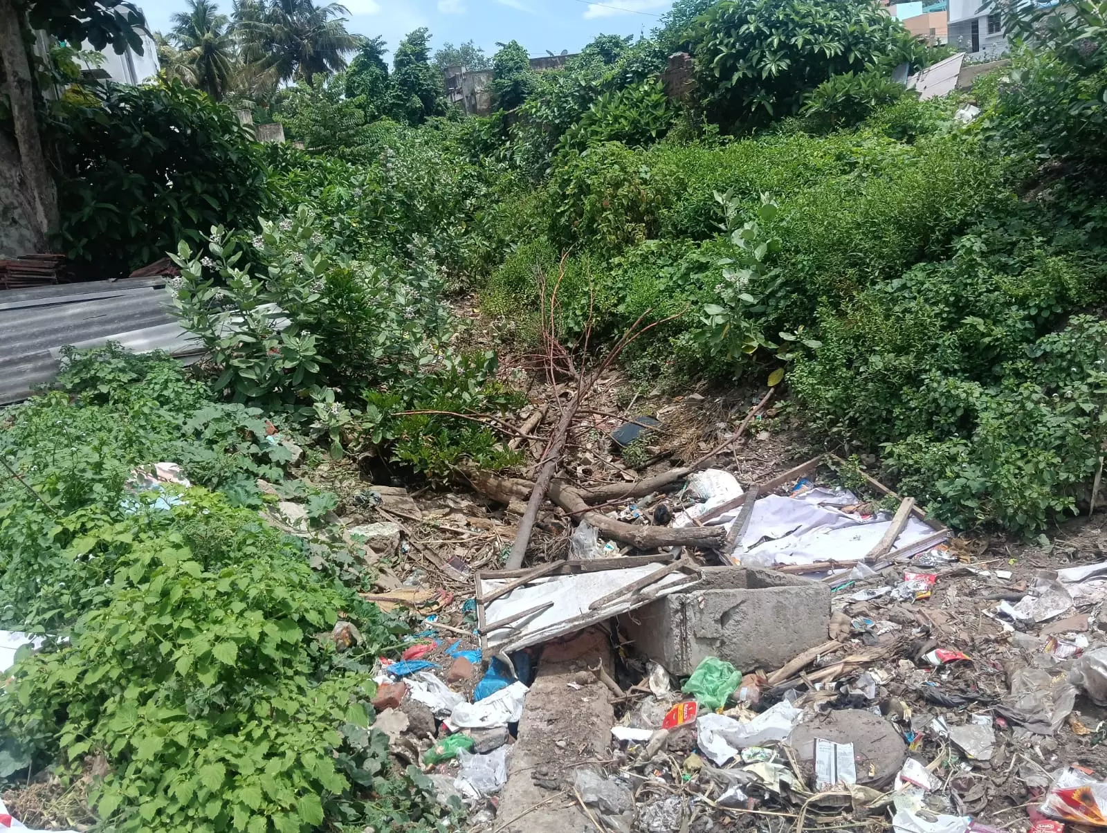 வாய்க்கால் தூர்வாரப்படுமா? வாய்க்கால் தூர்வாரப்படுமா?