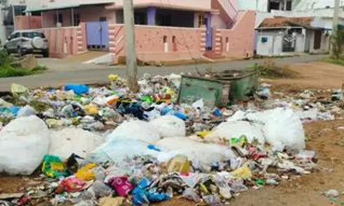 குப்பையால் மக்கள் அவதி குப்பையால் மக்கள் அவதி