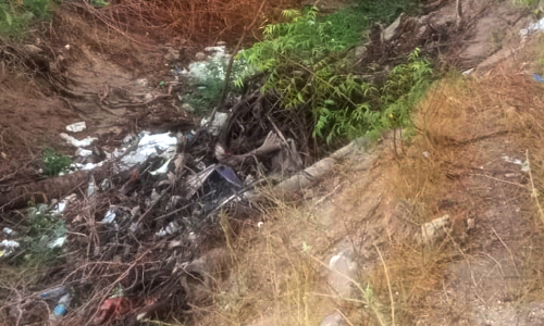 வடிகாலை தூர்வார வேண்டும் வடிகாலை தூர்வார வேண்டும்