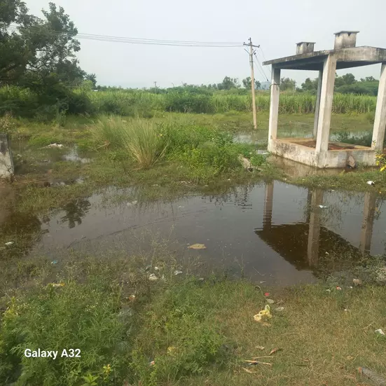 சுடுகாடை சரி செய்வார்களா? சுடுகாடை சரி செய்வார்களா?