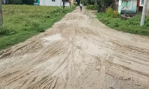 சிமெண்டு சாலை அமைக்க வேண்டும் சிமெண்டு சாலை அமைக்க வேண்டும்