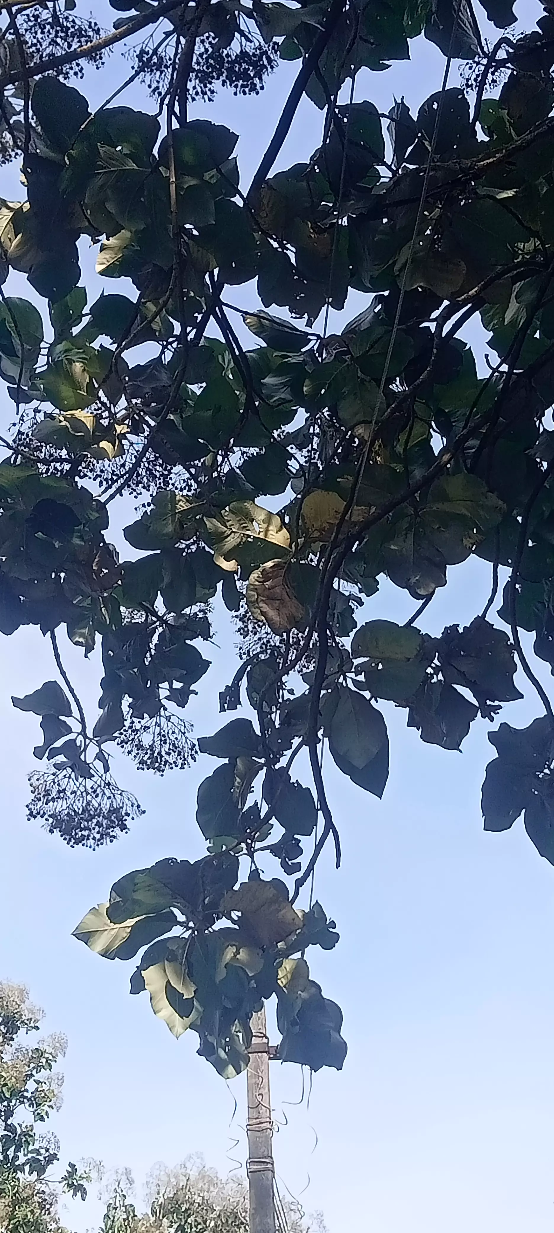 விபத்து அபாயம் விபத்து அபாயம்