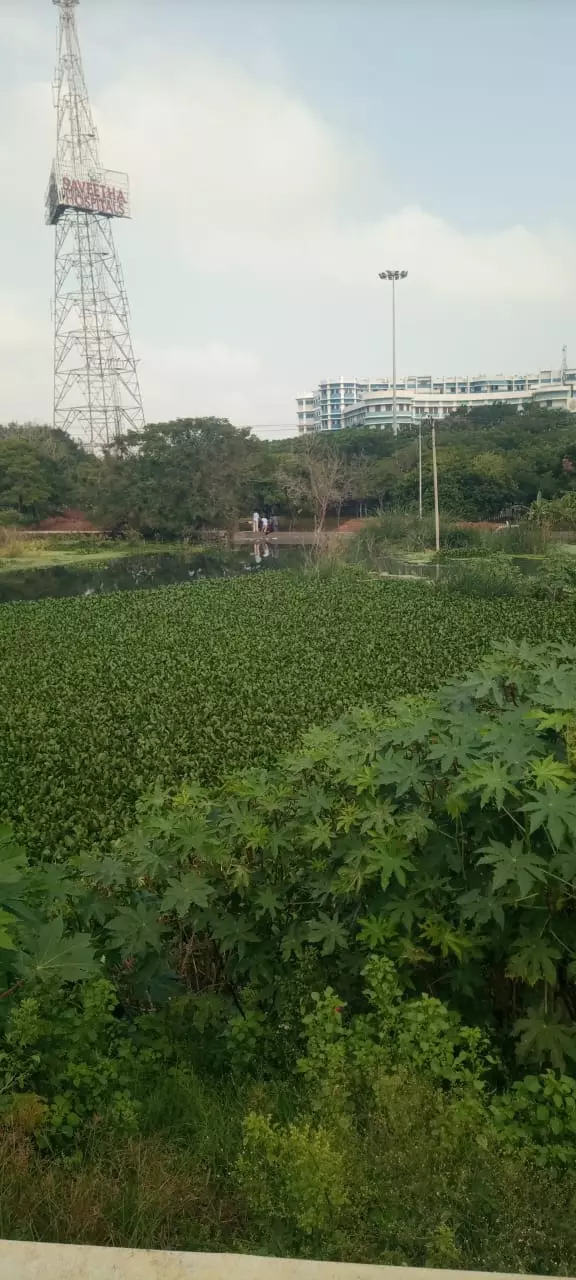 நீர் ஆதாரம் காக்கப்படுமா?