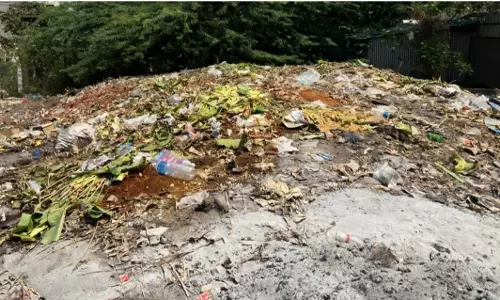 சாலையில் வீசப்படும் இறைச்சிக்கழிவுகள்