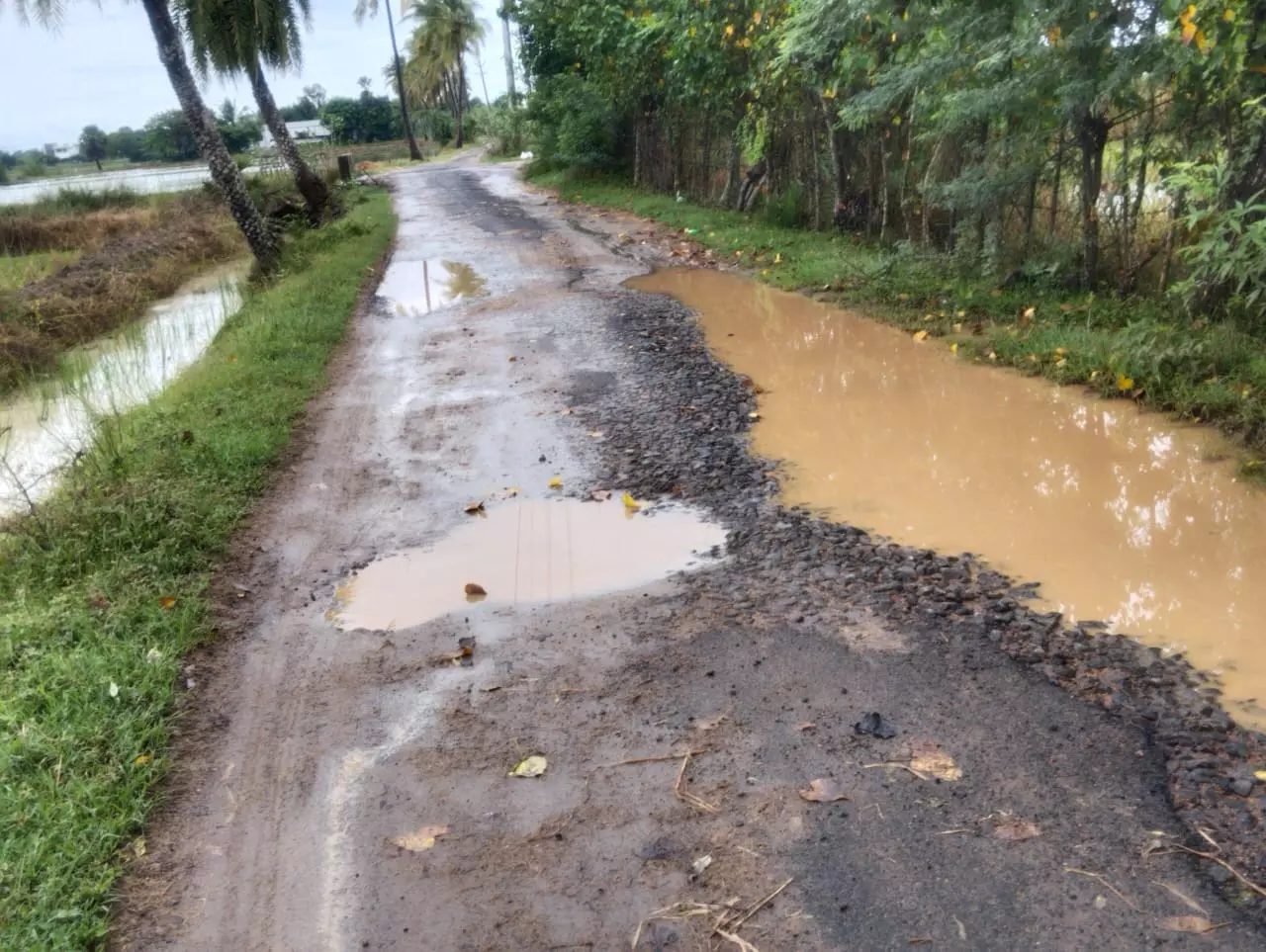 சாலை சீரமைக்கப்படுமா? சாலை சீரமைக்கப்படுமா?