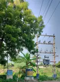 மரக்கிளைகள் அகற்றப்படுமா? மரக்கிளைகள் அகற்றப்படுமா?
