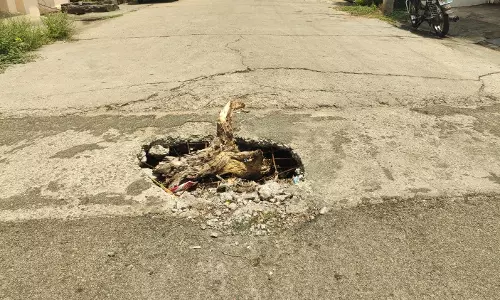 ‘தினத்தந்தி’ புகார் பெட்டிக்கு நன்றி ‘தினத்தந்தி’ புகார் பெட்டிக்கு நன்றி