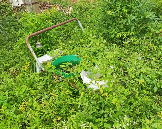 குப்பை வண்டிகளை சூழ்ந்த செடி, கொடிகள்