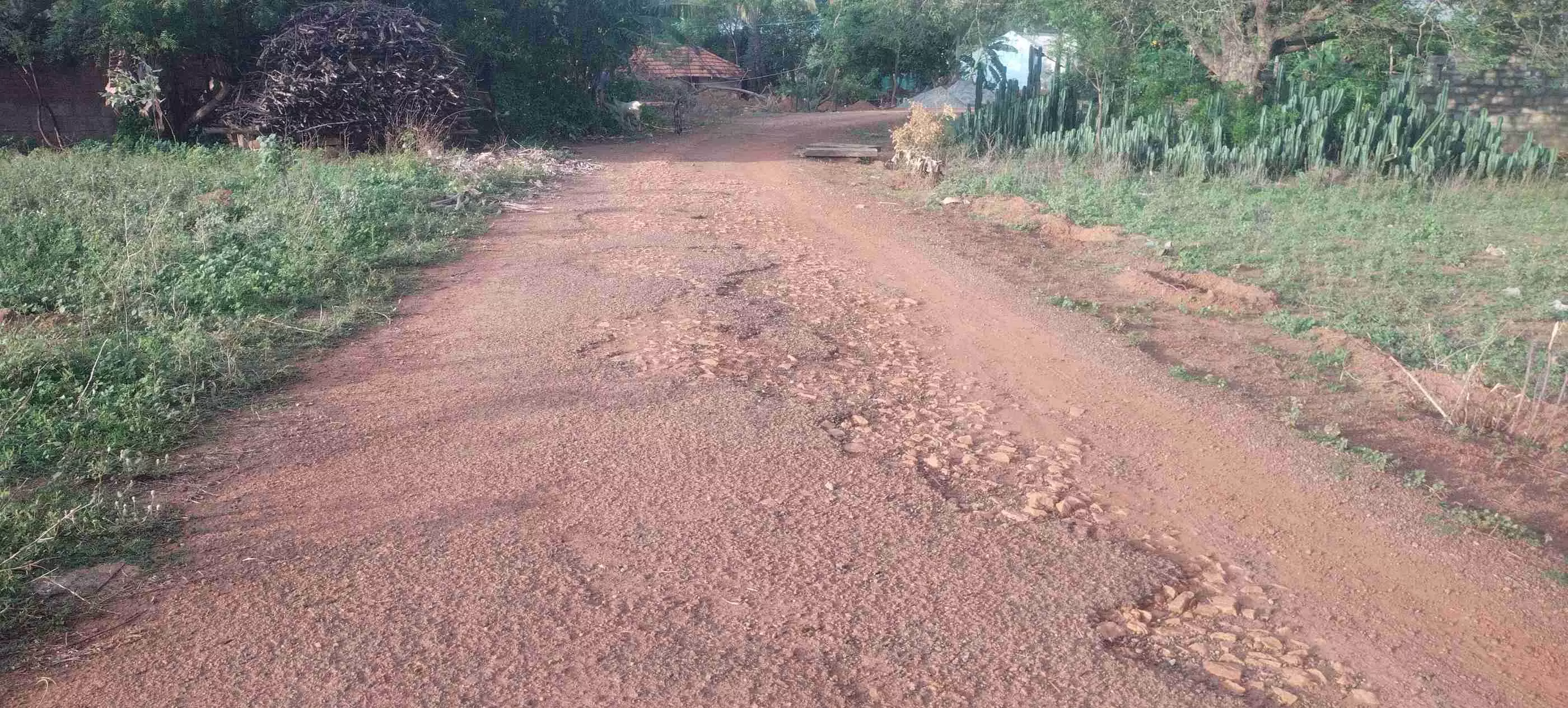 குண்டும், குழியுமான சாலை