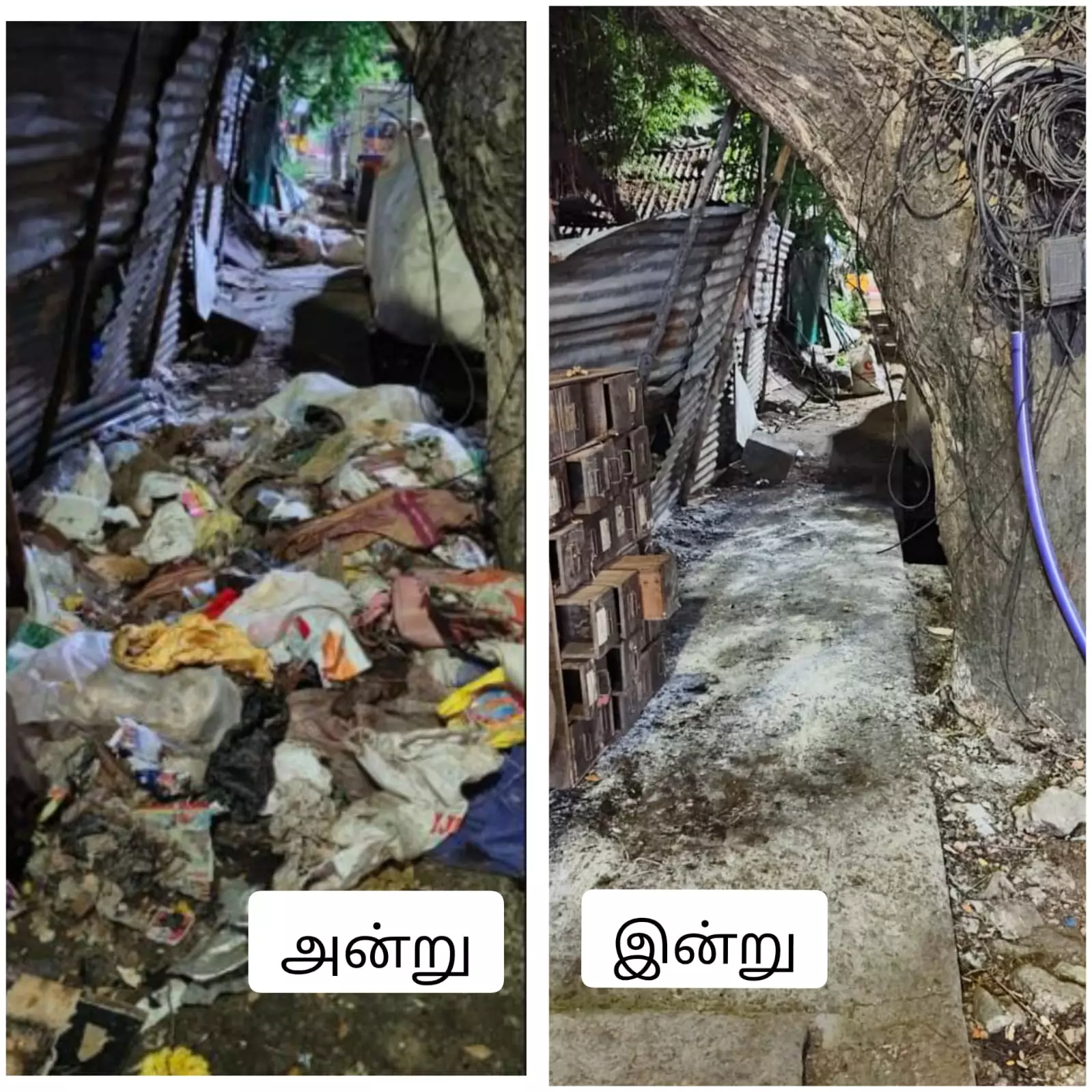 புகார் எதிரொலி