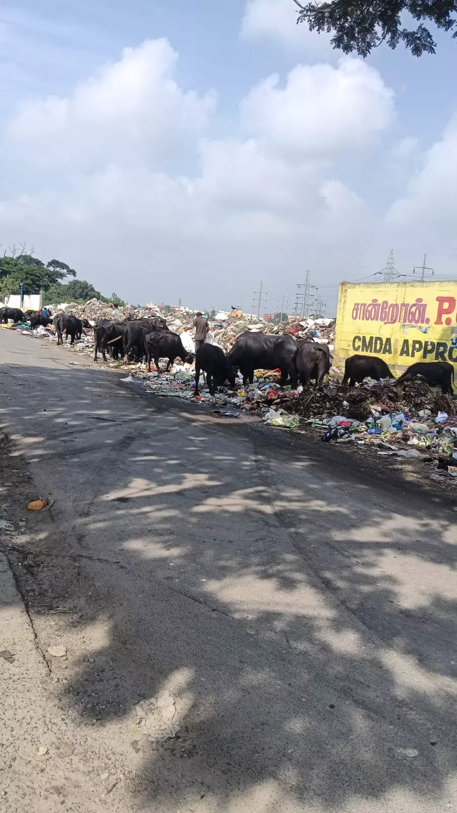 மலைபோல தேங்கும் குப்பைகள்