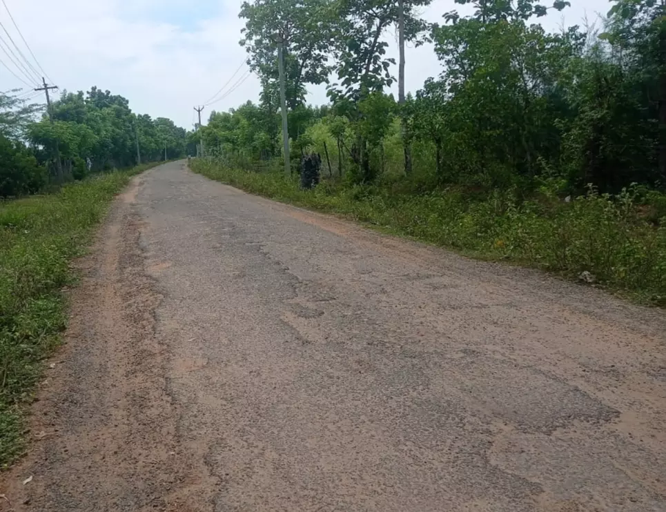 சாலையை சீரமைக்க வேண்டும்