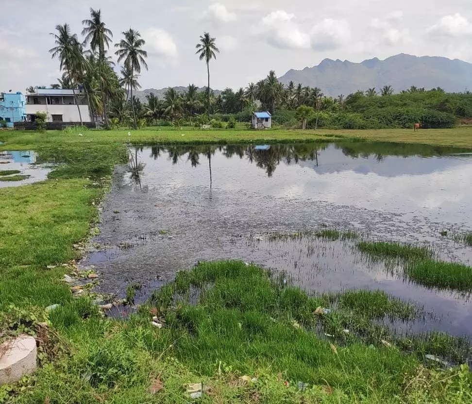 சுகாதார சீர்கேடு