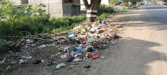 சாலையோரம் வீசப்படும் குப்பைகள்