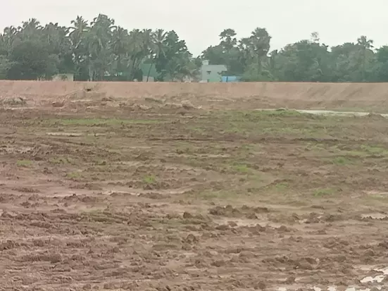 ஏரியின் கரையை முறையாக சர்வே செய்ய வேண்டும்