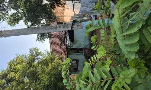 குரங்குகள் அட்டகாசம் குரங்குகள் அட்டகாசம்