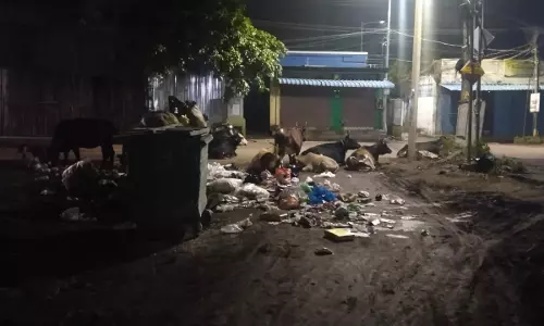 பொதுமக்கள் அவதி பொதுமக்கள் அவதி