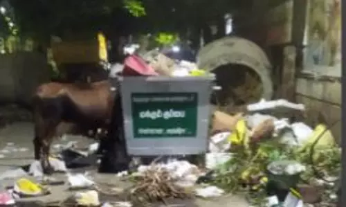 குப்பை தொட்டிகள் மாற்றியமைக்கப்படுமா? குப்பை தொட்டிகள் மாற்றியமைக்கப்படுமா?