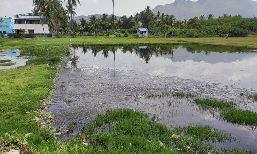 சுகாதார சீர்கேடு சுகாதார சீர்கேடு