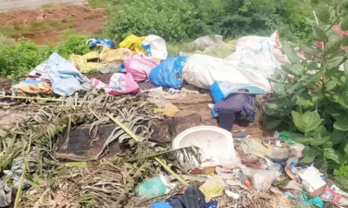 சுகாதாரக்கேடு சுகாதாரக்கேடு