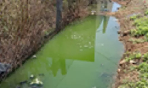 பாதியில் நிற்கும் பணி