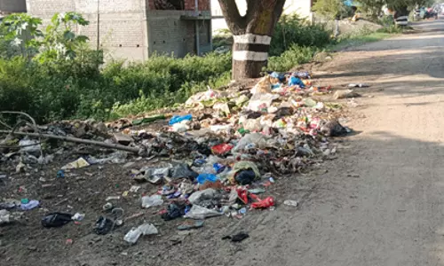 சாலையோரம் வீசப்படும் குப்பைகள் சாலையோரம் வீசப்படும் குப்பைகள்