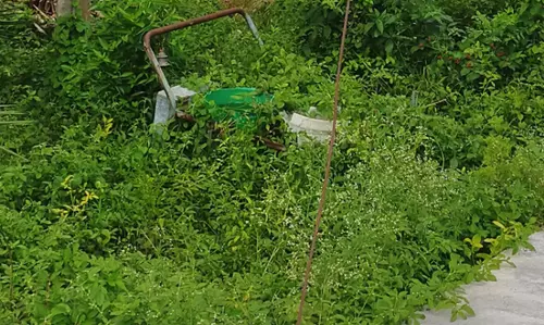 ஸ்டே கம்பியை மாற்றி அமைப்பார்களா?