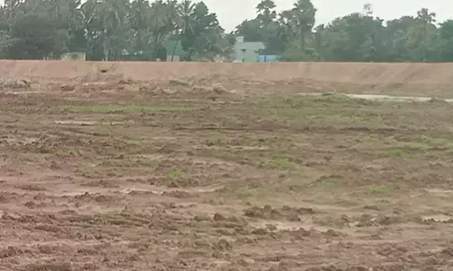 ஏரியின் கரையை முறையாக சர்வே செய்ய வேண்டும்