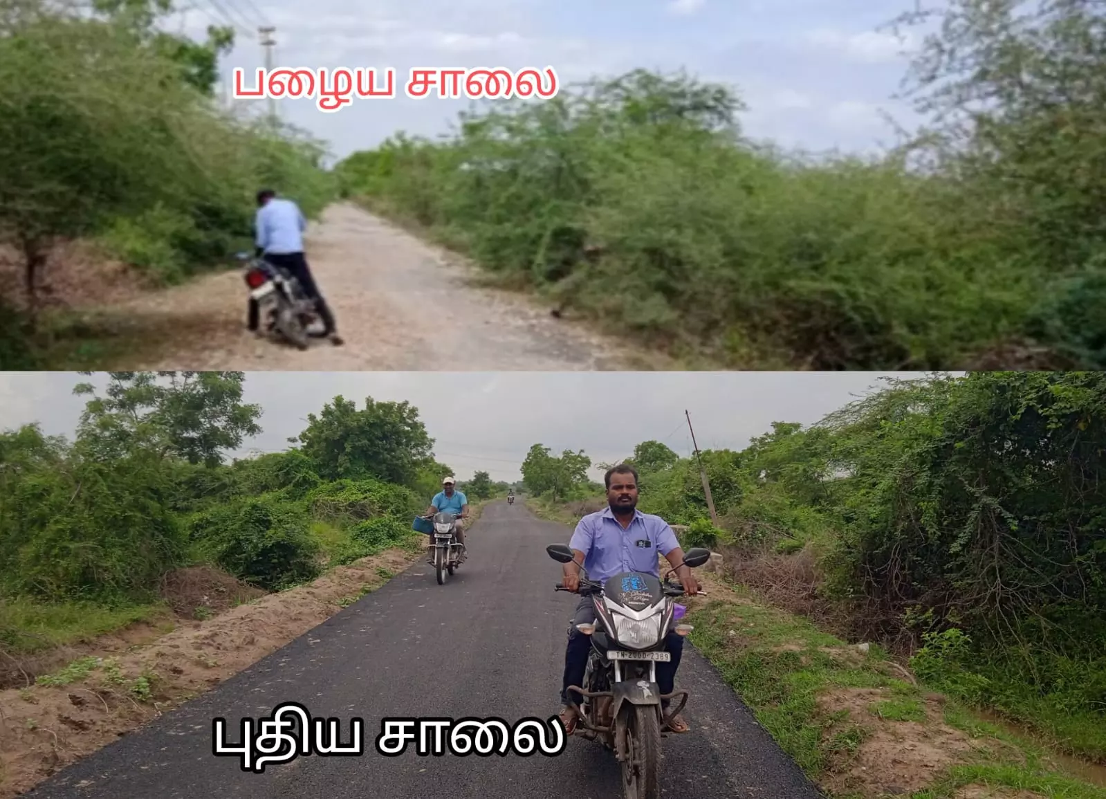 புகார் எதிரொலி புகார் எதிரொலி