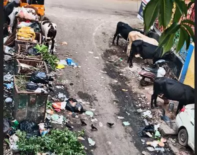 கழிவுகளால் சுகாதார சீர்கேடு