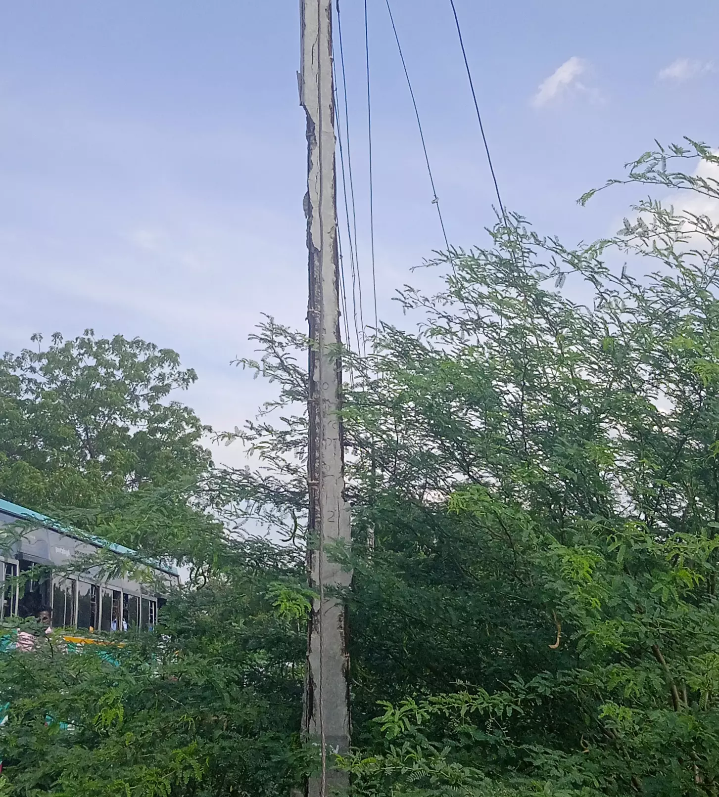 எலும்புக்கூடாக காட்சியளிக்கும் மின்கம்பம் எலும்புக்கூடாக காட்சியளிக்கும் மின்கம்பம்