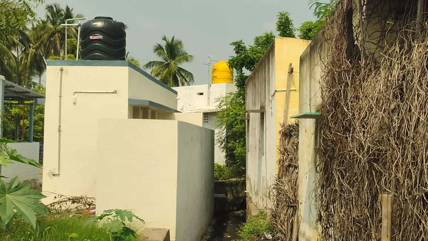 ‘தினத்தந்தி’ புகார் பெட்டிக்கு நன்றி