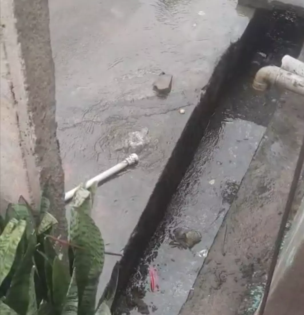 குழாய் உடைப்பால் வீணாகும் குடிநீர் குழாய் உடைப்பால் வீணாகும் குடிநீர்