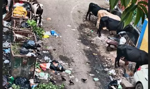 கழிவுகளால் சுகாதார சீர்கேடு