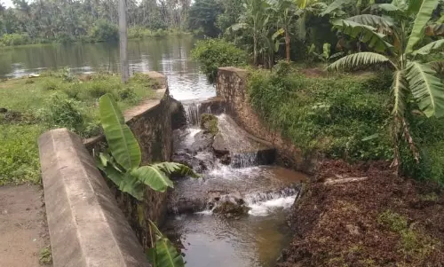 சீரமைக்கப்படுமா?